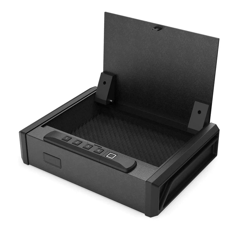 RPNB Pistol Safe with Biometric Fingerprint Lock for 2 Pistols RP19001F