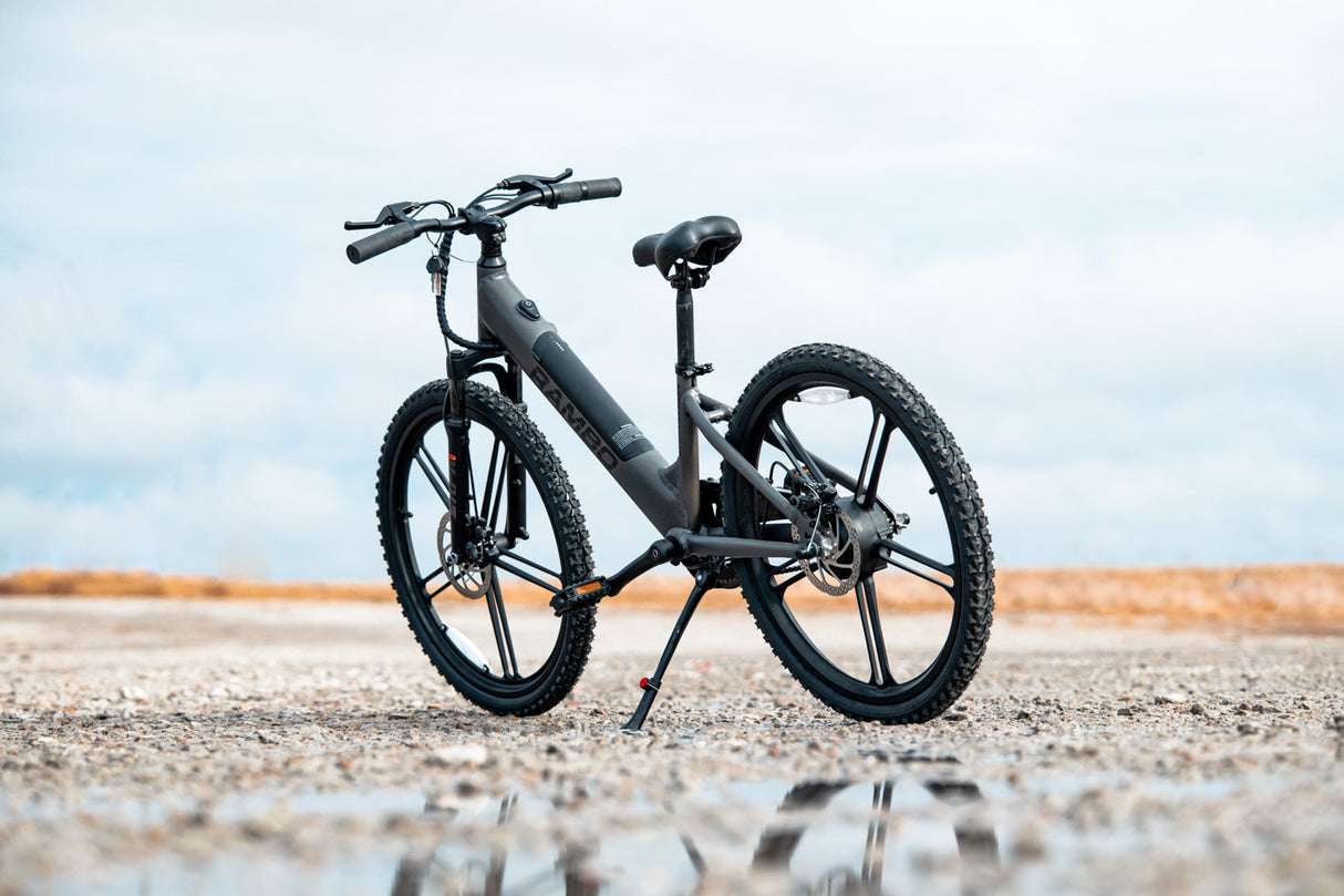 Rambo Chameleon 24" Kids Electric Bike