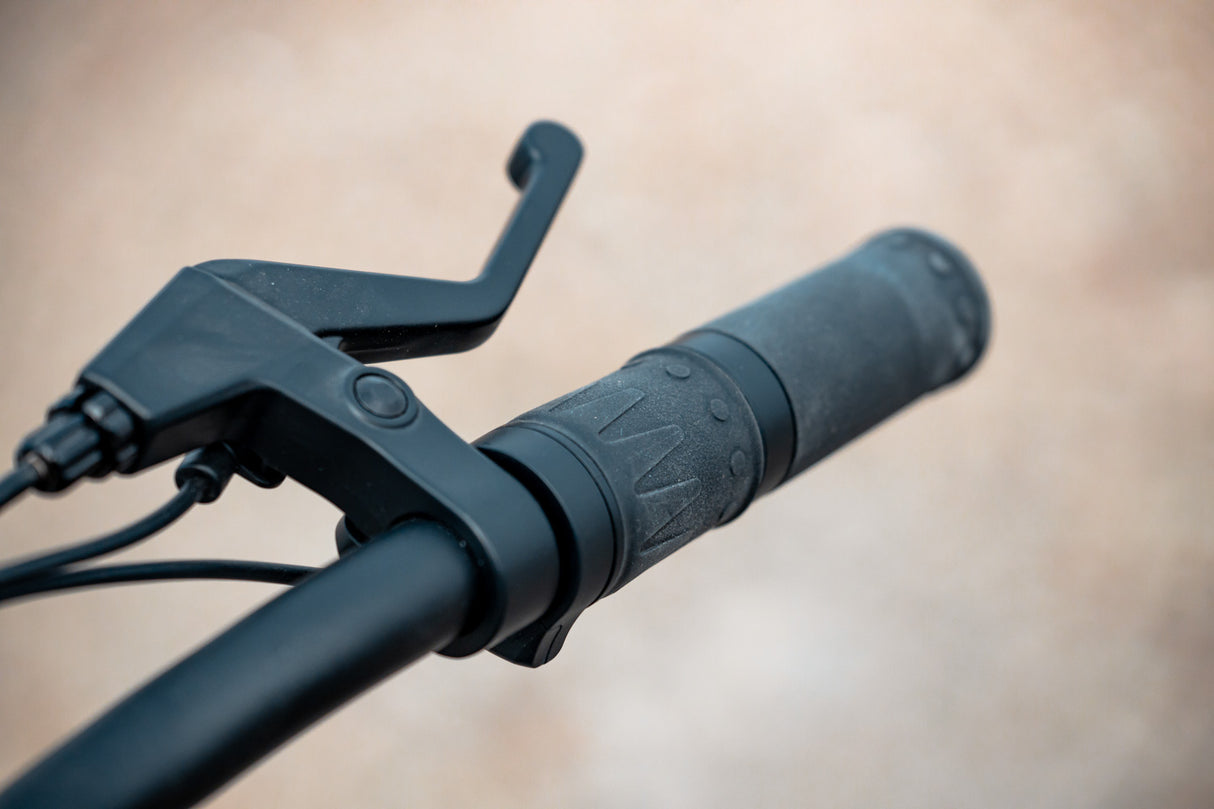 Rambo Chameleon 24" Kids Electric Bike