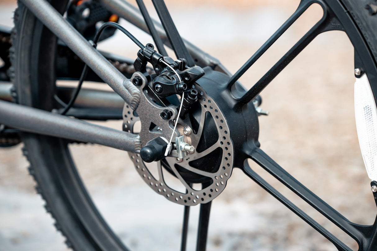 Rambo Chameleon 24" Kids Electric Bike