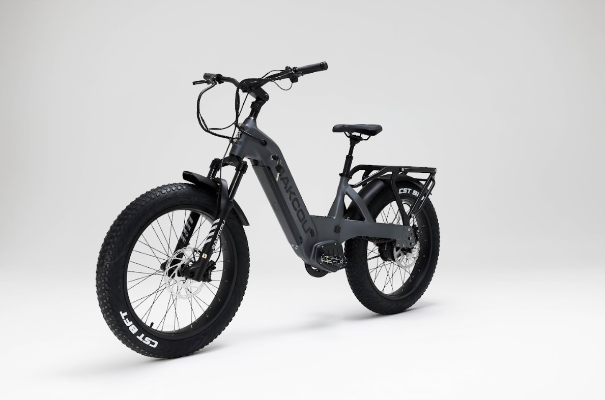 Bakcou Flatlander SD Electric Bike