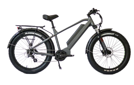 Eunorau FAT-HD All Terrain Fat Tire Electric Mountain Bike 48V 1000W