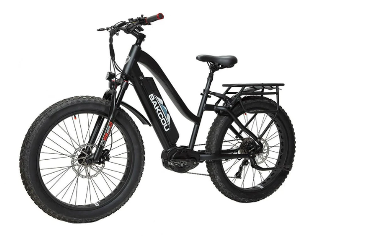 Bakcou Mule Step-Through (ST) 24" Fat Tire Electric Bike