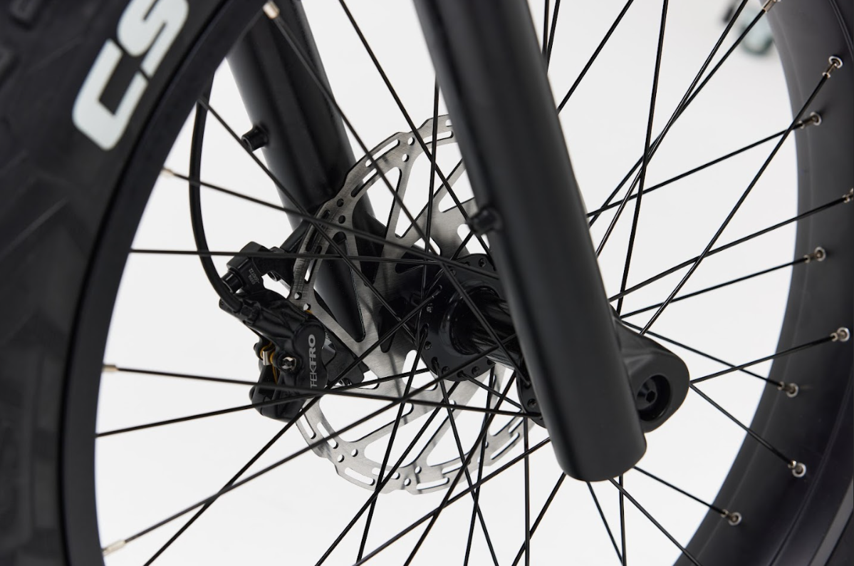 Bakcou Flatlander SD Electric Bike