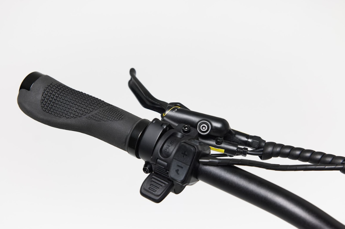 Bakcou Flatlander SD Electric Bike