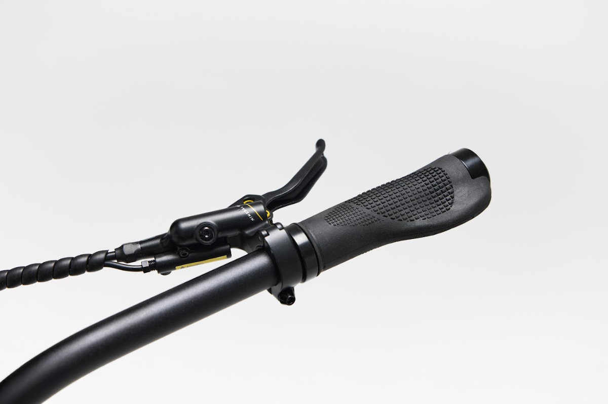 Bakcou Flatlander SD Electric Bike