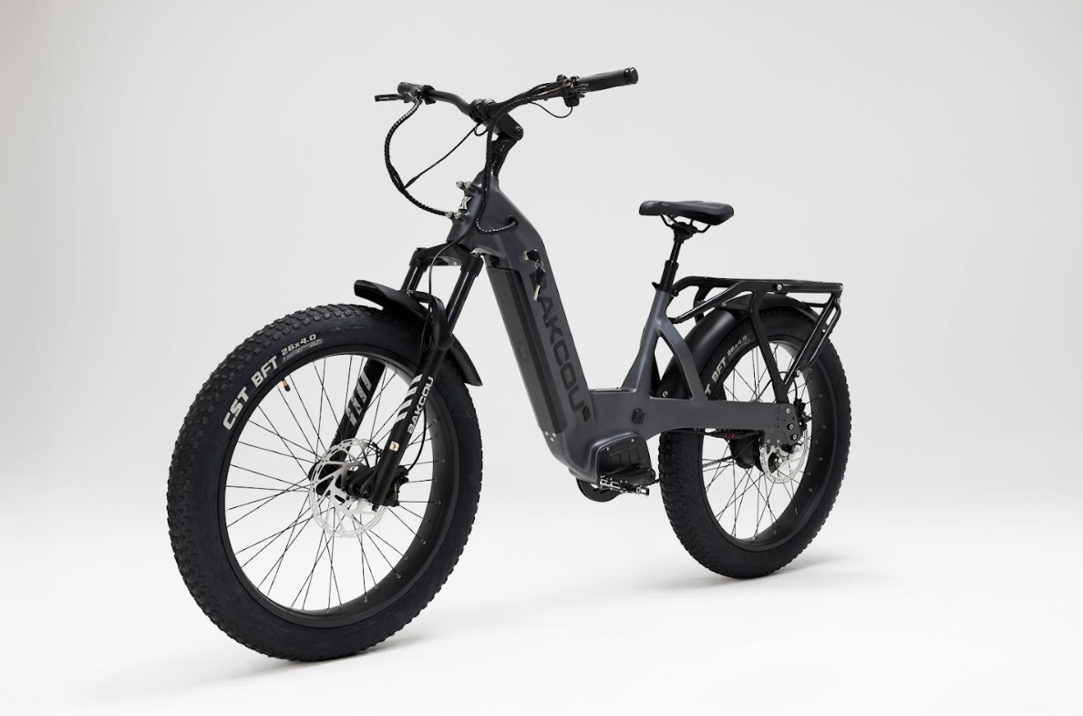 Bakcou Flatlander SD Electric Bike