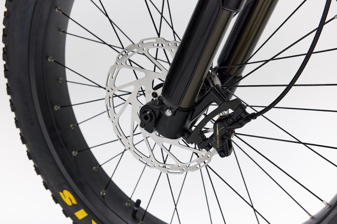 Bakcou Mule SD Electric Bike