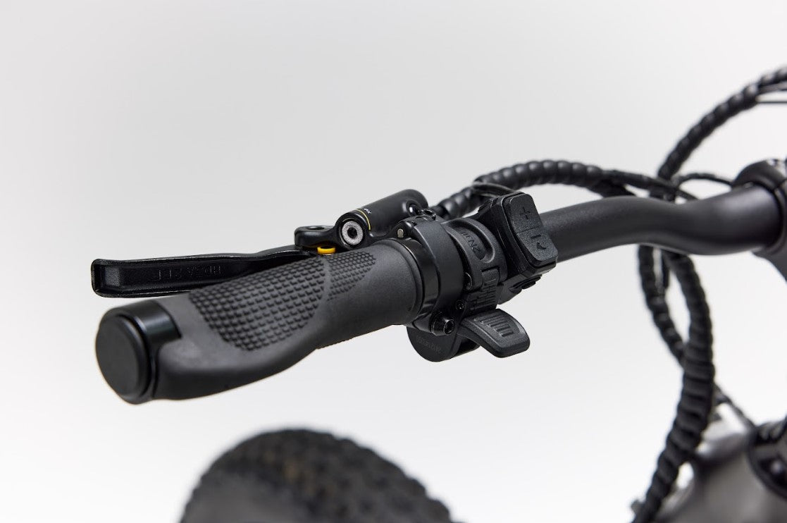 Bakcou Mule SD Electric Bike