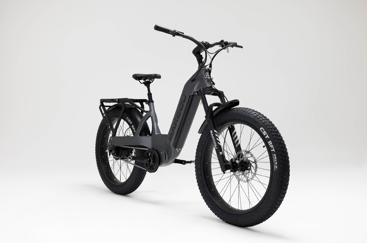 Bakcou Flatlander SD Electric Bike