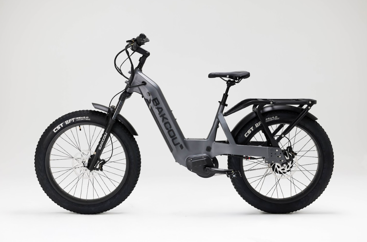 Bakcou Flatlander SD Electric Bike