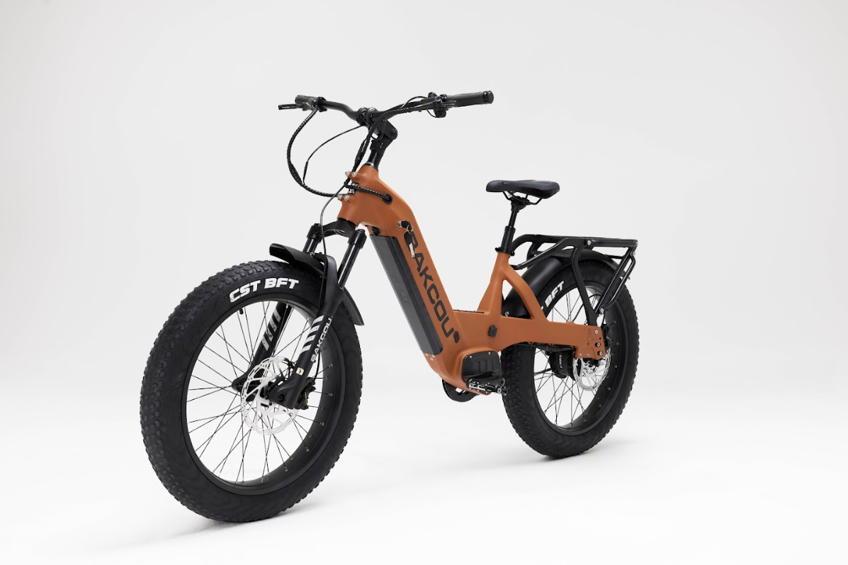 Bakcou Flatlander SD Electric Bike