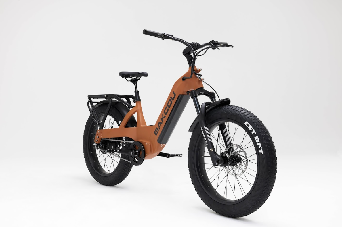 Bakcou Flatlander SD Electric Bike