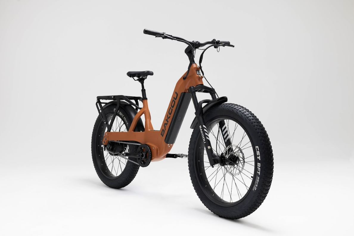 Bakcou Flatlander SD Electric Bike