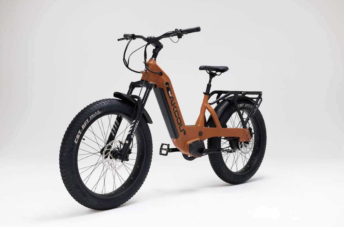 Bakcou Flatlander SD Electric Bike
