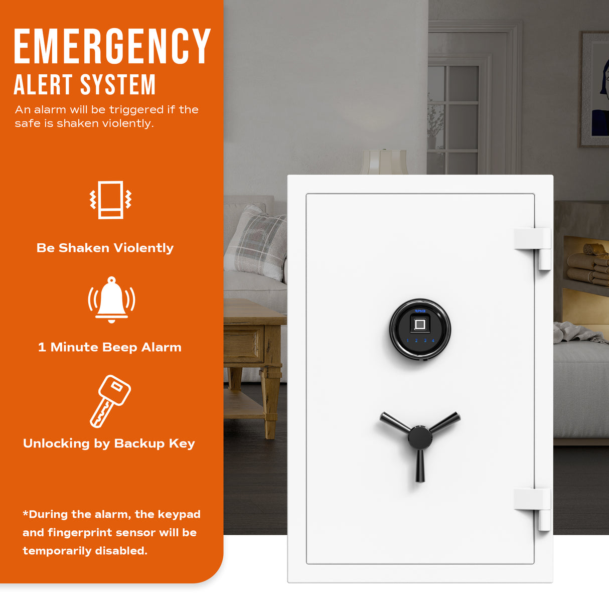 RPNB 2.12 Cubic Feet Deluxe Biometric Fireproof Safe RPFS66