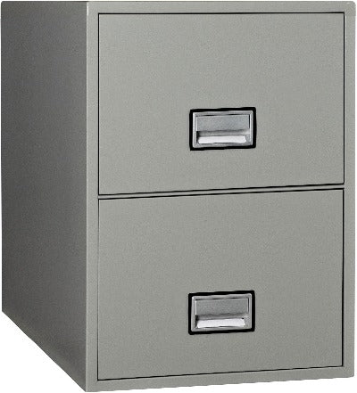 Phoenix Safe LTR2W31 Vertical 31 Inch 2-Drawer Letter Fire and Water Resistant File Cabinet