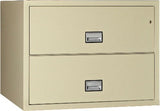 Phoenix Safe LAT2W38 Lateral 38 Inch 2-Drawer Fire and Water Resistant File Cabinet