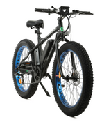 Ecotric Cheetah 26 Fat Tire Beach Snow Electric Bike NS-FAT26S900