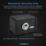 Barska AX11620 Biometric Security Safe