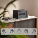 RPNB Biometric Home Safe with Fingerprint Digital Lock for Cash & Jewelry RP20FSA