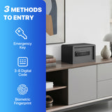 RPNB Biometric Home Safe with Fingerprint Digital Lock for Cash & Jewelry RP20FSA
