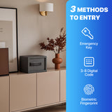 RPNB Biometric Home Safe with Fingerprint Digital Lock for Cash & Jewelry RP25FSA