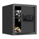 RPNB Biometric Home Safe with Fingerprint Digital Lock for Cash & Jewelry RP36FSA