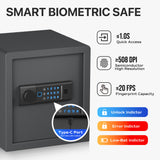 RPNB Biometric Home Safe with Fingerprint Digital Lock for Cash & Jewelry RP36FSA