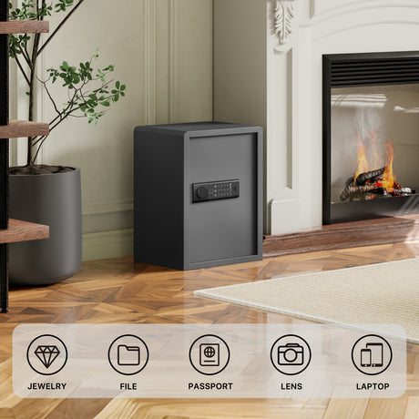 RPNB Biometric Home Safe with Fingerprint Digital Lock for Cash & Jewelry RP50FSA