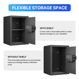 RPNB Biometric Home Safe with Fingerprint Digital Lock for Cash & Jewelry RP50FSA