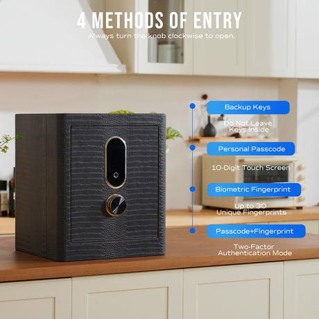 RPNB Luxury Leatherette Wrapped Biometric Fingerprint Home Safe with Touch Screen RPLH50