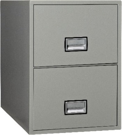 Phoenix Safe LTR2W25 Vertical 25 Inch 2-Drawer Letter Fire and Water Resistant File Cabinet