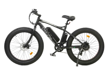 Ecotric fat tire sales