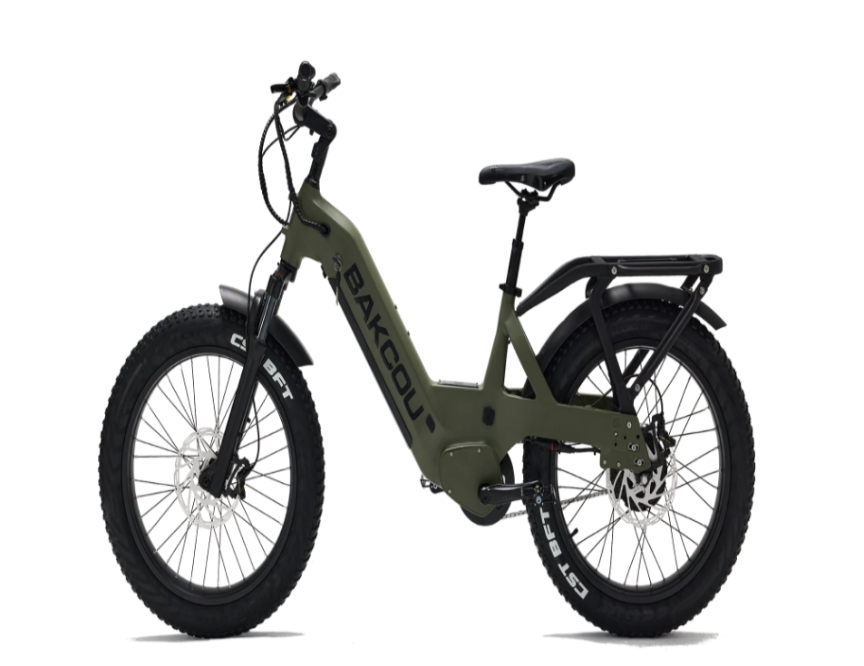 Bakcou Flatlander SD Electric Bike