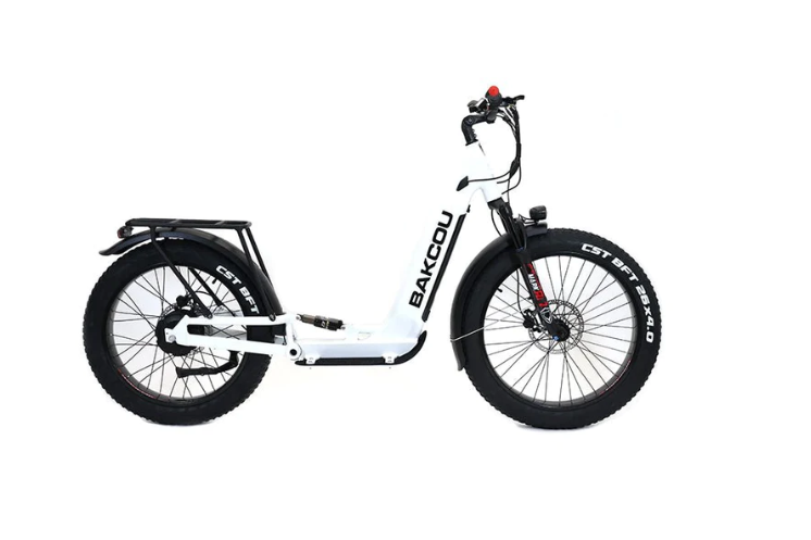 Bakcou Grizzly Electric Scooter