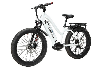 Bakcou Mule Step-Through (ST) 24" Fat Tire Electric Bike