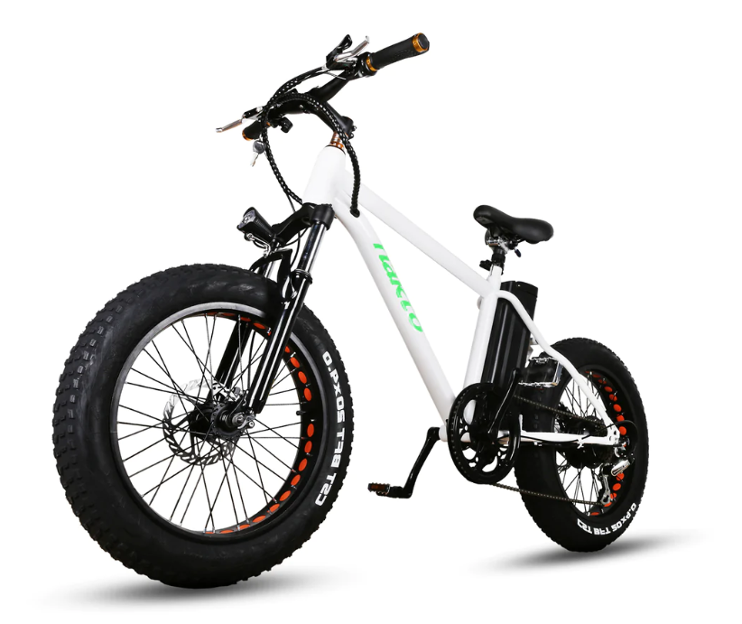 Nakto Mini Cruiser 20" Fat Tire Electric Bike 300W 36V