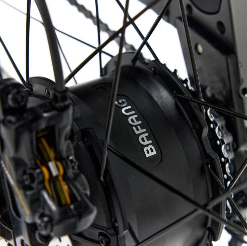 Bakcou Kodiak AWD SD Electric Bike