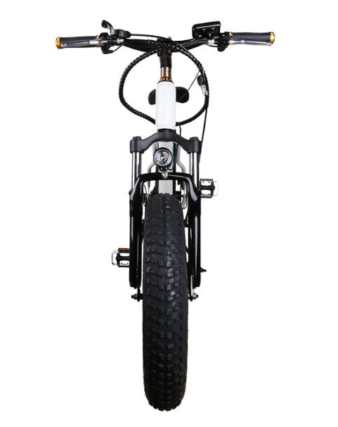 Nakto Mini Cruiser 20" Fat Tire Electric Bike 300W 36V