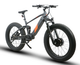 Eunorau DEFENDER-S Fat Tire Dual Suspension Electric Mountain Bike 1500W