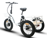 Eunorau NEW-TRIKE Step Through Fat Tire Folding Electric Trike