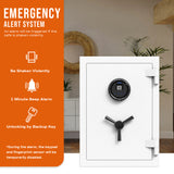 RPNB 1.29 Cubic Feet Deluxe Biometric Fireproof Safe RPFS50