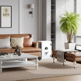 RPNB 2.12 Cubic Feet Deluxe Biometric Fireproof Safe RPFS66