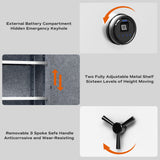 RPNB 2.12 Cubic Feet Deluxe Biometric Fireproof Safe RPFS66