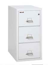 FireKing 3-2131-C Classic High Security Vertical File Cabinet